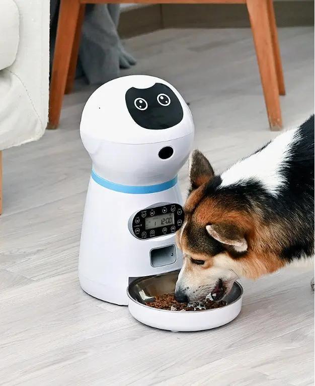 Automatic pet feeder My Store