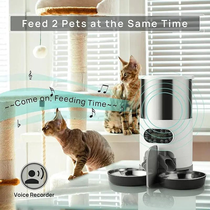 Automatic chqiue pet feeder My Store