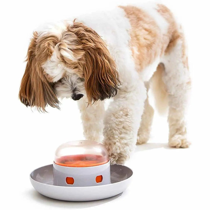 Dog Press Leakage Food Feeder Automatic Pet Feeder My Store
