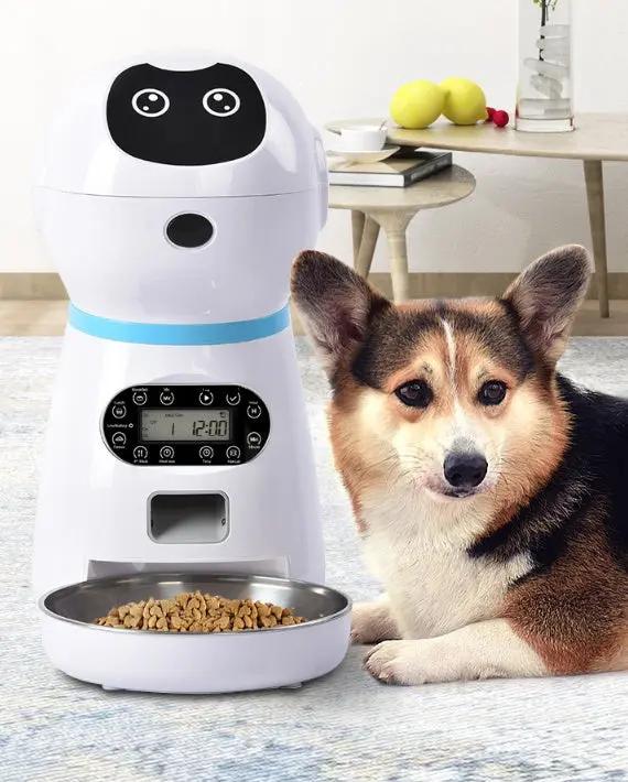 Automatic pet feeder My Store